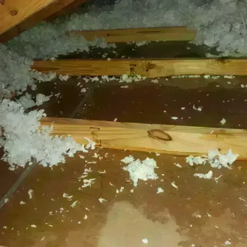 Attic Water Damage in Sublimity, OR