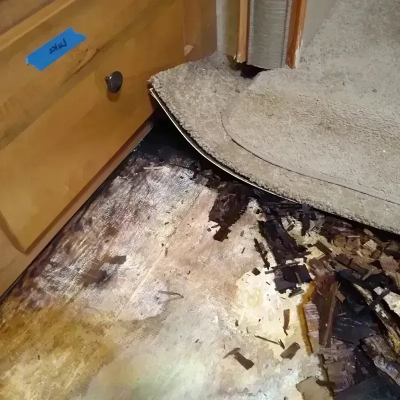 Wood Floor Water Damage in Sublimity, OR